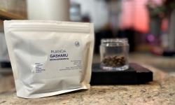 Featured image of post Gasharu Intego Experimental