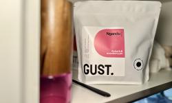 Featured image of post Ngandu