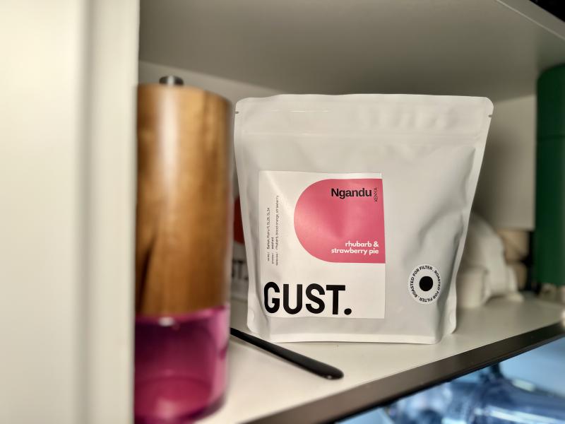 Featured image of post Ngandu