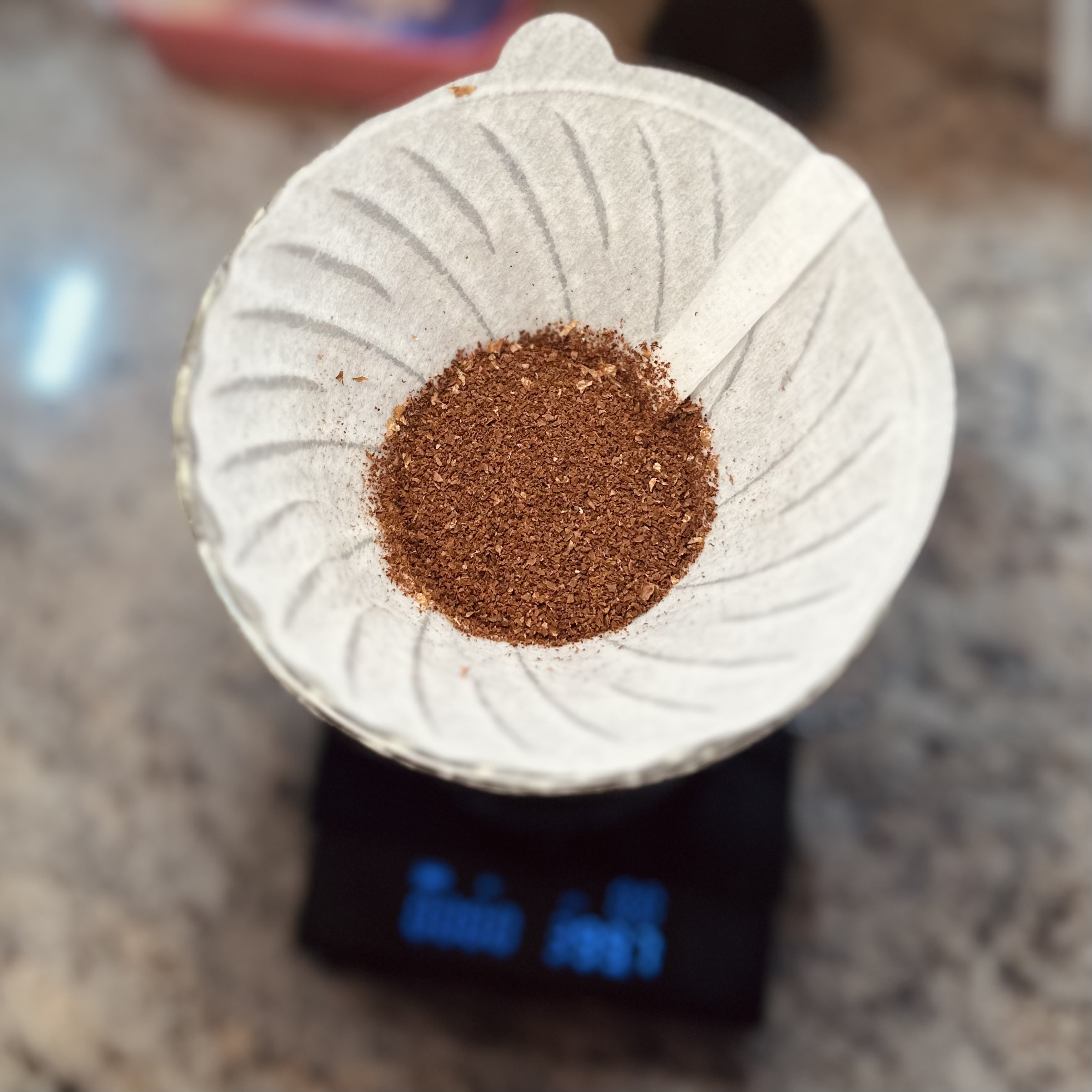 Hario Switch von oben