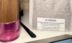 Featured image of post La Sirena