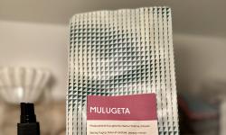 Featured image of post Mulugeta