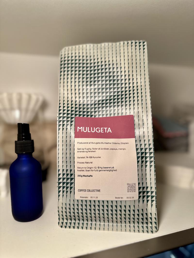 Featured image of post Mulugeta