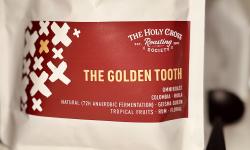 Featured image of post The Golden Tooth