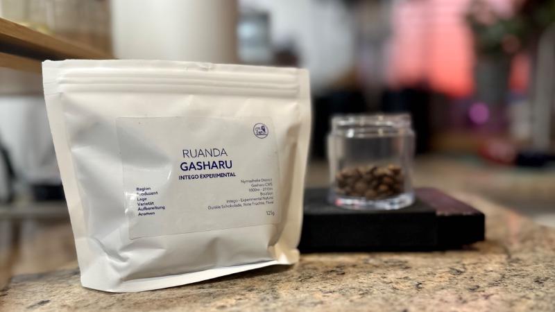 Featured image of post Gasharu Intego Experimental