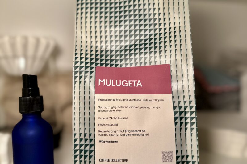 Mulugeta