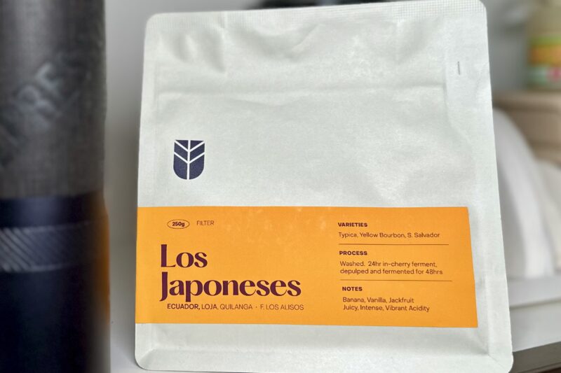Los Japoneses